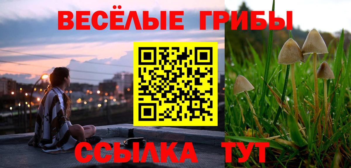 Псилоцибиновые грибы Magic Shrooms Всеволожск